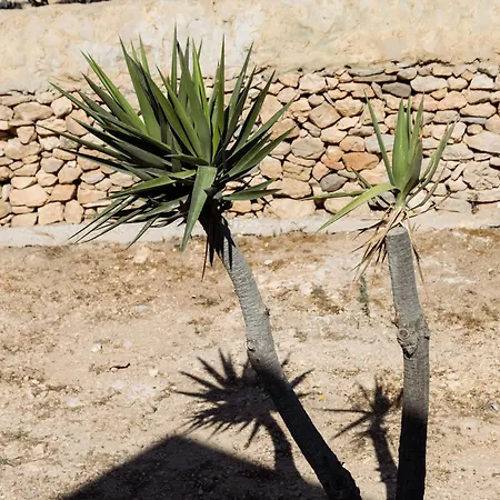 Hotel Paradise (adults Only)