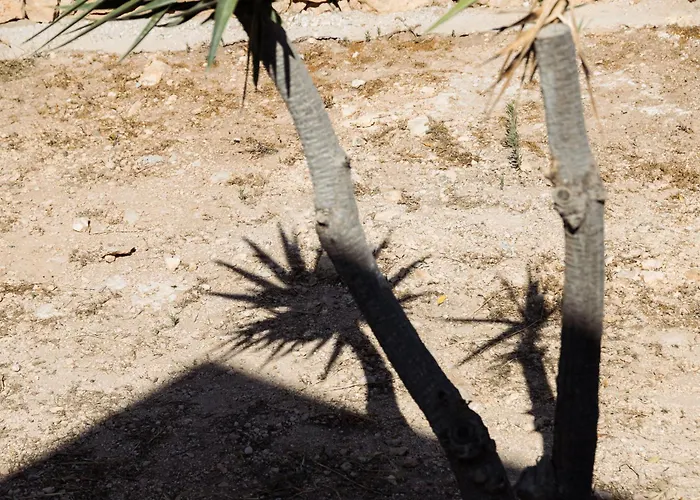 Paradise (adults Only) 3*