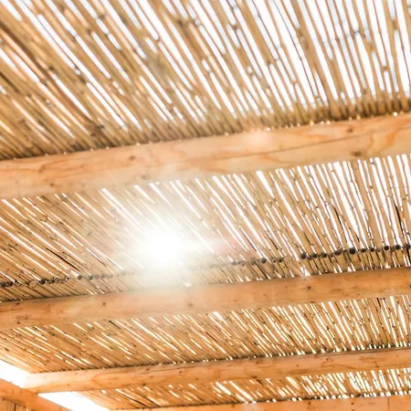 Paradise (adults Only)