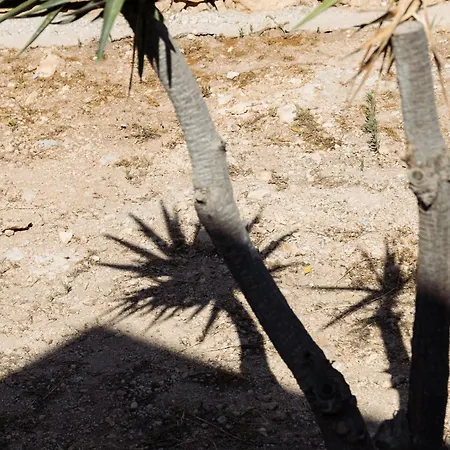 Paradise (adults Only) 3*