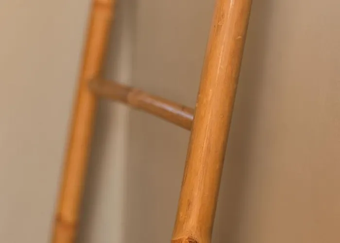 Hotell Paradise (adults Only) 3*