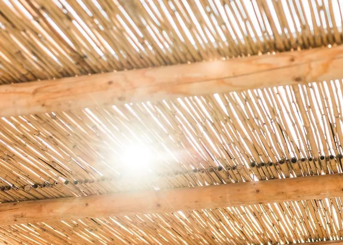 Paradise (adults Only)