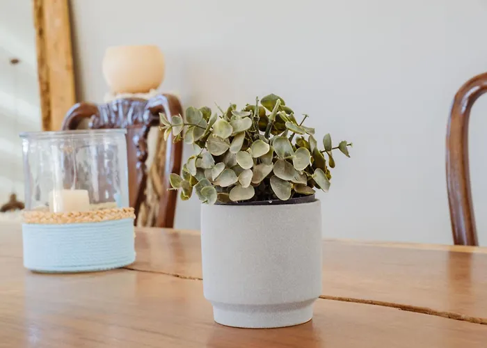 Hotell Paradise (adults Only) Koufonisia