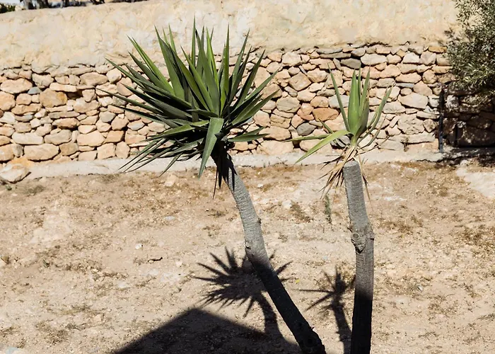 Hotell Paradise (adults Only)